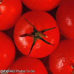 Tomatoes